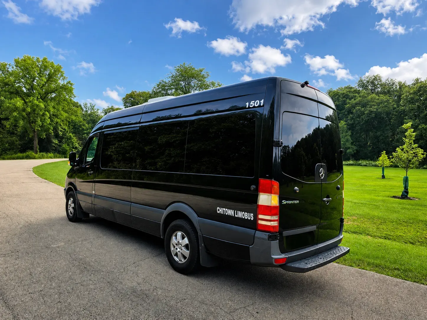 limo van: Rear exterior