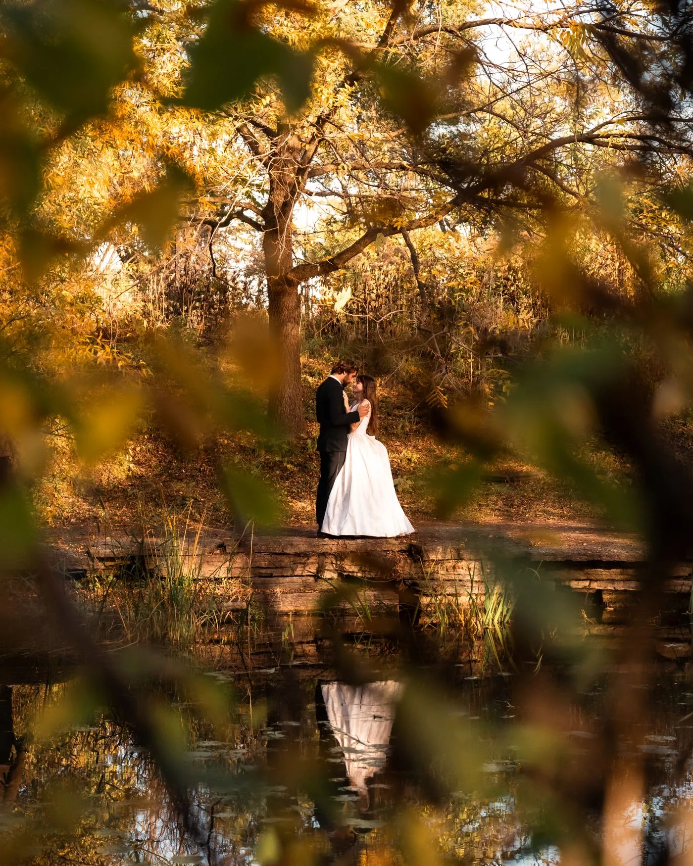 A bride and groom embracing among autumn trees beside a pond in a Chicago park.